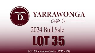 Lot 35 Yarrawonga U732 PS [upl. by Aikemet750]