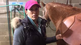 Steps for Fitting a Jumping Saddle Part 2 [upl. by Sells]