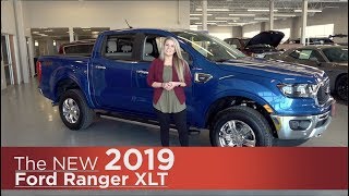 AllNew 2019 Ford Ranger XLT  Elk River Coon Rapids Mpls St Paul St Cloud MN  Review [upl. by Elson]