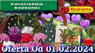 𝐁𝐈𝐄𝐃𝐑𝐎𝐍𝐊𝐀 🐞 Kwiaciarnia Biedronki Nowa Oferta Od 01022024  Kwiatowe Inspiracje Biedronki [upl. by Guibert363]