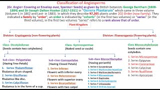 Bentham and Hooker Classification of Angiosperms in Hindi बेंथम और हूकर आवृतबीजी का वर्गीकरण [upl. by Yornek]