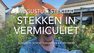 STEKKEN IN VERMICULIET [upl. by Doehne125]