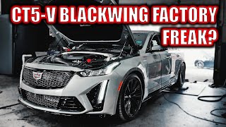 Cadillac CT5V Blackwing Shocks Everyone [upl. by Aivatnwahs]