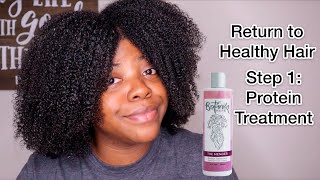 Return to Healthy Hair Step 1 Protein Treatment  Botanika The Mender [upl. by Anderson]