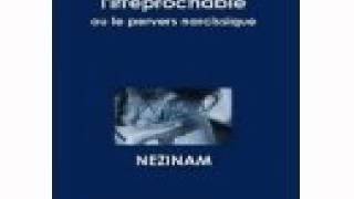 MeToo Agressions sexuelles etc Nezinam son livre lirréprochable [upl. by Osicnarf]