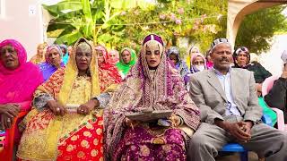 harari wedding M amp S highlights p1  Ethiopian Harari Wedding 232024 [upl. by Pearce127]