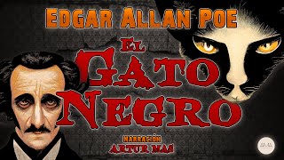 El Gato Negro  Edgar Allan Poe  Un Libro en Dibujitos  Resumen para Estudiantes [upl. by Neoma]