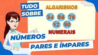 Números pares e números ímpares  Matemática para crianças [upl. by Gorlin110]