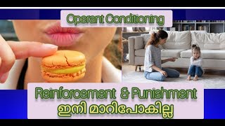 Operant Conditioning Reinforcement and Punishment Difference [upl. by Anastasius]