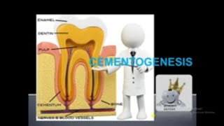 CEMENTOGENESIS SIMPLE LECTURE [upl. by Nodnalb]