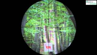 Vortex Diamondback 27x35 Reticle BDC subtensions [upl. by Eiram]