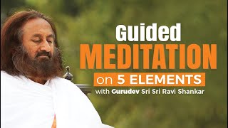 Guided Meditation On 5 Elements with Gurudev Sri Sri Ravi Shankar  International Day Of Yoga 2020 [upl. by Tella441]