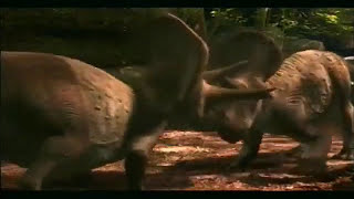 When dinosaurs roamed America video promo [upl. by Avruch]