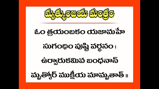 Mrityunjaya Mantra  mrityunjaya mantra  Mrutyunjaya Mantram  Mrutyunjaya Mantram in Telugu [upl. by Noskcaj255]