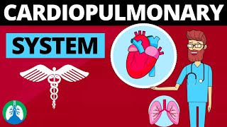 Cardiopulmonary System Medical Definition  Quick Explainer Video [upl. by Iem]