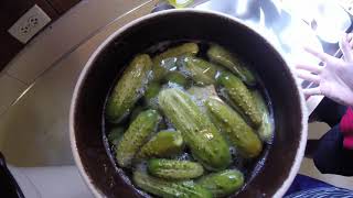 Easy and Delicious Fermented Sweet Pickle Recipe [upl. by Vassili]