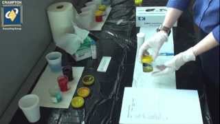 Urinalysis Demonstration [upl. by Cohberg]