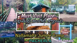 Nallamalla Jumgle Camp Full details👌⛺ junglecamp junglesafari nallamalla jungle resort [upl. by Poliard]