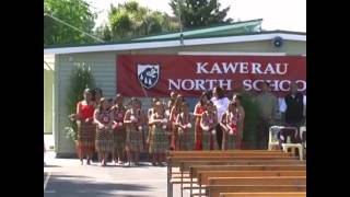 Kawerau North School 2006 School reunion [upl. by Indyc327]