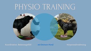 PhysioTraining mit Deinem Hund [upl. by Filmer327]