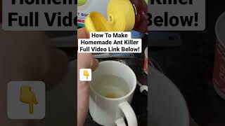 How To Make Homemade ANT KILLER with BORAX shorts [upl. by Zumstein847]