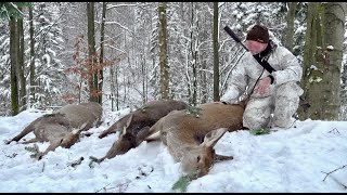 Kristoffer Clausen presenting different hunts with Savage rifles Leupold optics and Hornady ammo [upl. by Mcilroy301]