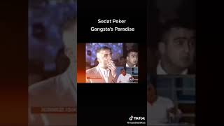 Sedat Peker Gangstar Paradise [upl. by Ahcmis60]