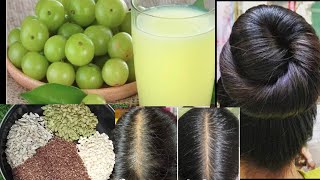 अब होगे तेजी से बाल लंबे की हैरान हो How to seed for Hair growthHow to Amla powder make at Home [upl. by Harim]