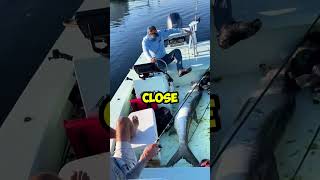 Huge Tarpon Caught But Heres Why They Let It Go 🌊🐠 shorts [upl. by Jon]