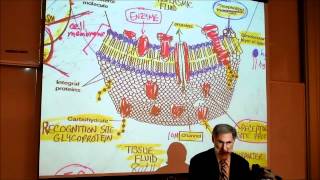 BIOLOGY CYTOLOGY PART 1 by Professor Fink [upl. by Vinita899]