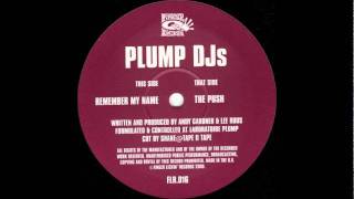 Plump DJs  The Push [upl. by Ayouqes]