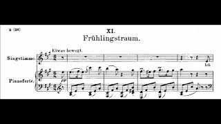 Frühlingstraum  Schubert Winterreise D911 soprano piano with score and translations [upl. by Suiramed17]