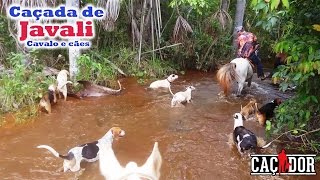 Caçada de Javali com Cavalos e cães [upl. by Lazar]