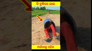 କି ବୁଦ୍ଧିରେ ଭାଇ 🙆🙆🙆youtubeshorts Bheem moral cartoon viral fact [upl. by Netniuq216]