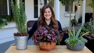 How to Bring Your Plants Inside to Overwinter 🌿 Garden Answer [upl. by Eiramannod]