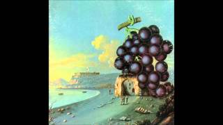 Moby Grape  cant be so bad [upl. by Ynohtnaleahcim]