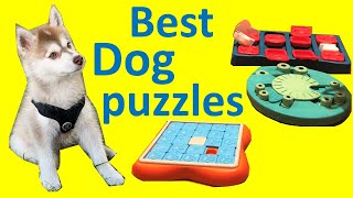 Our favorite dog puzzles to keep our dog busy – Best toys for mental stimulation amp brain development [upl. by Philipps]