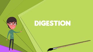 What is Digestion Explain Digestion Define Digestion Meaning of Digestion [upl. by Kwabena]