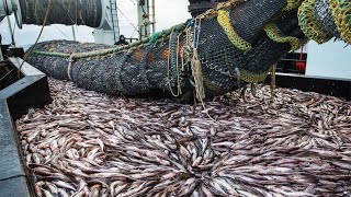 Life On Largest Midwater Trawl Vessel  Fishing trip on trawler the High Sea [upl. by Holmes]