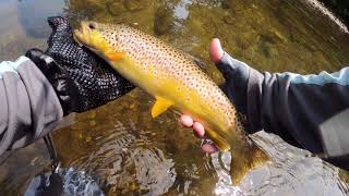 Lighting up the Walloomsac river with Josh Brophy and John Murphy [upl. by Sammy]