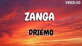 Driemo  Nzanga mzaliwa album Lyrics [upl. by Swigart136]