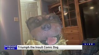 Triumph the Insult Comic Dog roasts the WGN Morning News [upl. by Andreana]