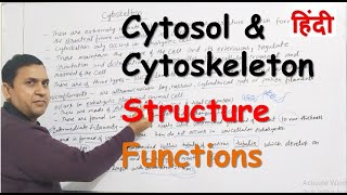 Cytosol and Cytoskeleton in Hindi  Structure  Functions [upl. by Eram]