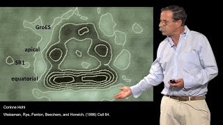 Arthur Horwich YaleHHMI Part 3 Where are proteins folded by chaperonins [upl. by Tereb]