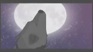 the valley of wolves video [upl. by Nanice]