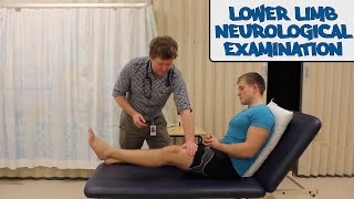 Lower Limb Neurological Examination  OSCE Guide old version  UKMLA  CPSA [upl. by Drice]