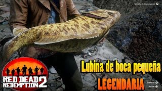 Lubina de boca pequeña legendaria  Guia pesca RED DEAD REDEMPTION 2 [upl. by Holle]