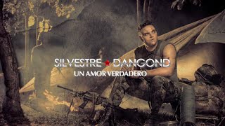 Un Amor Verdadero Silvestre Dangond amp Rolando Ochoa  Letra Oficial [upl. by Ettenav]