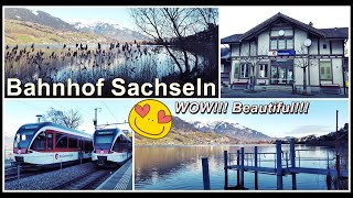 Morgentliche Zugsichtungen beim kleinen Bahnhof Sachseln am Sarnersee Kanton Obwalden Schweiz 2022 [upl. by Lleuqram]