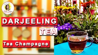 Lets make some Darjeeling Tea  How to make Darjeeling Tea   Debis Kitchen darjeelingtea [upl. by Yrakcaz]